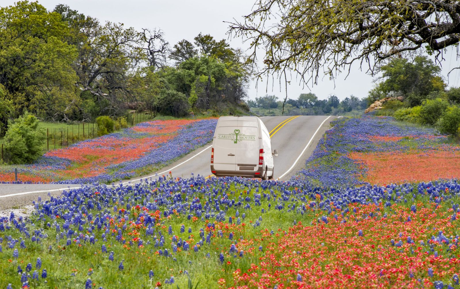 spring moving tips san antonio movers austin moving company affordable Careful Movers