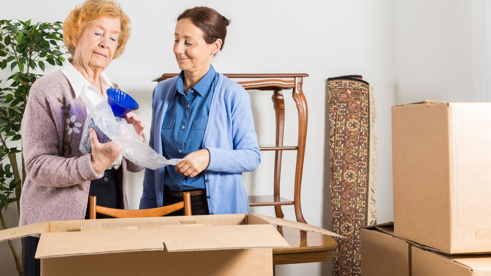 san antonio senior moving experts